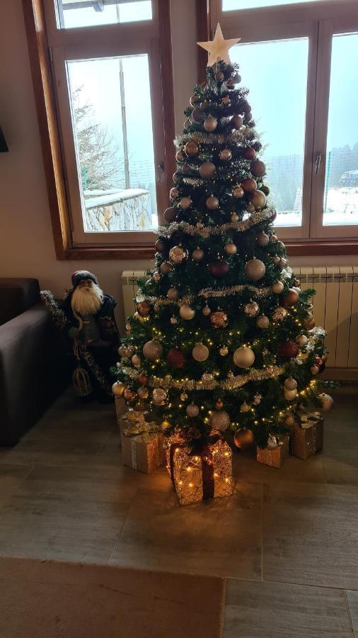 Apartman No1,Župa Wellness&Spa Kopaonik Bagian luar foto